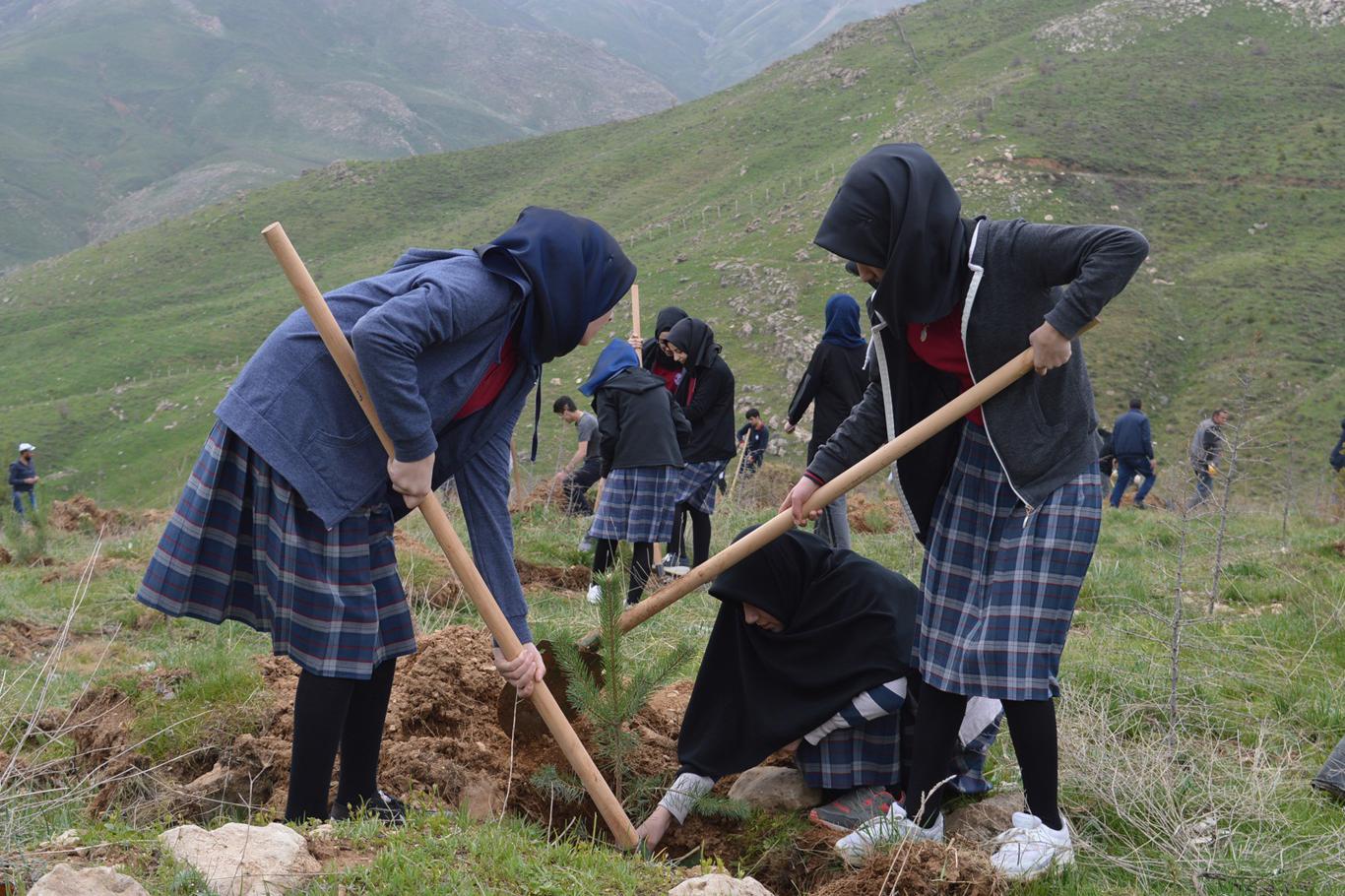 Bitlis'te binlerce fidan toprakla buluşturuldu